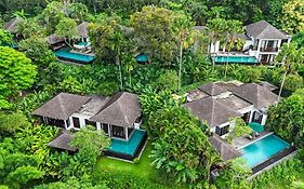 The Damai